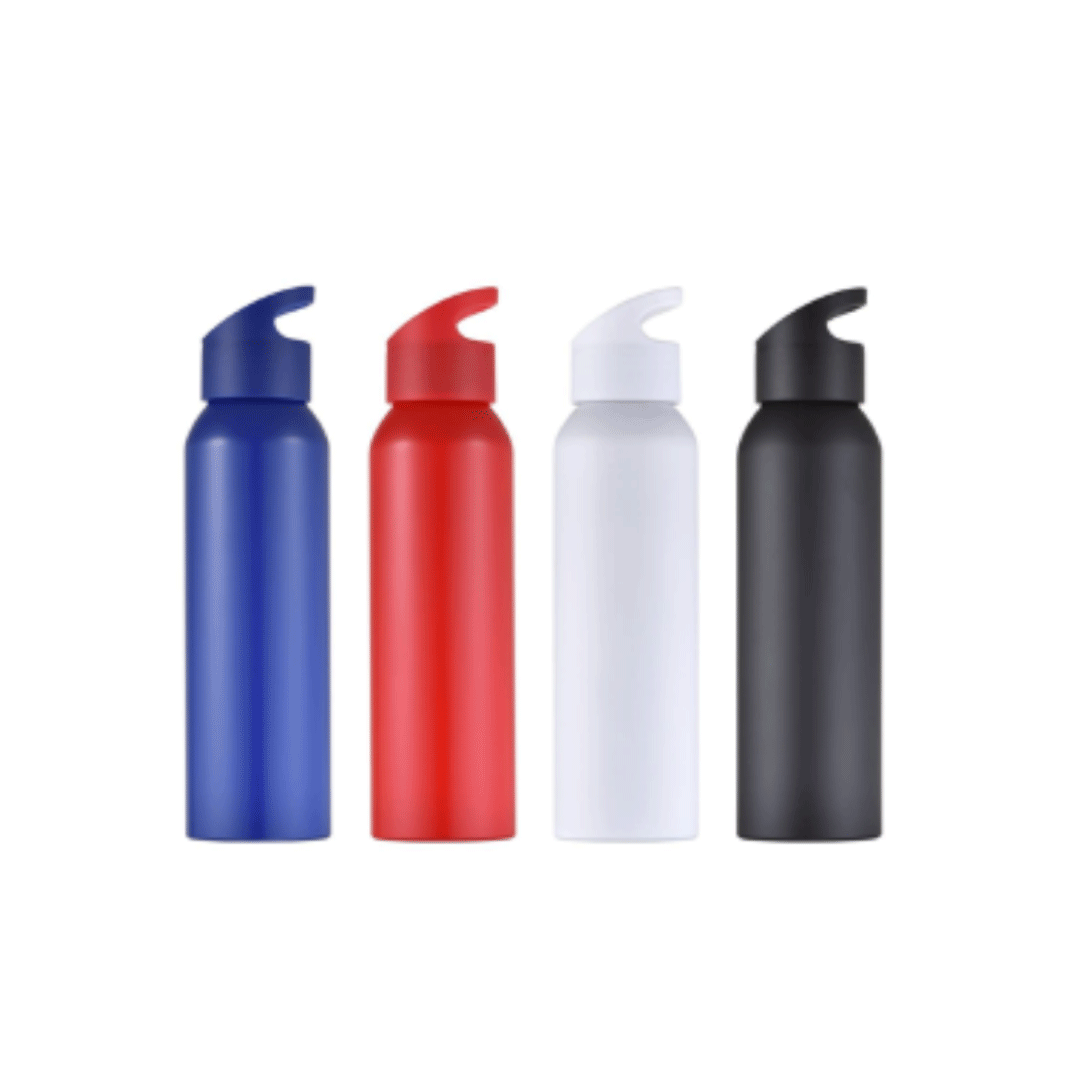 Bouteille gourde en inox 600 ml